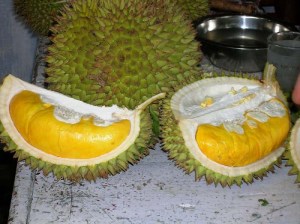 NOT FOR EVERYONE: The 'musang king' durian